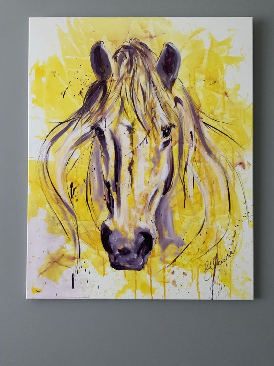 Horse head on yellow