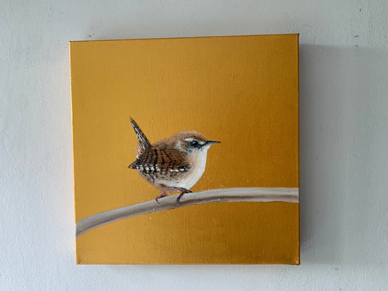 Jenny Wren