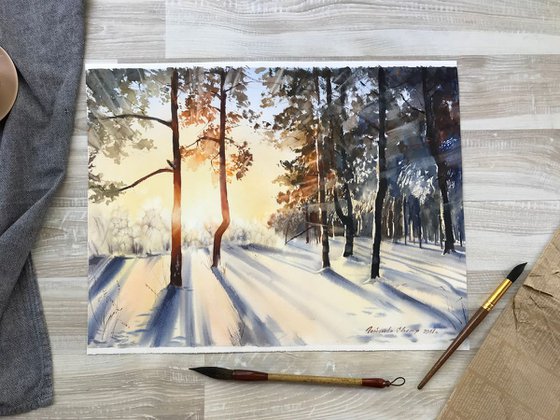 Winter forest in the sunlight