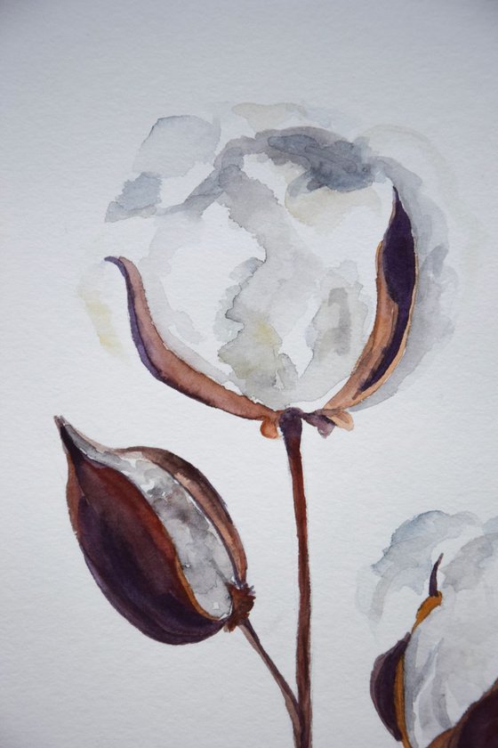 Set of 2 COTTON bolls watercolor paintings, Flowers abstract, Shabby Chic wall art