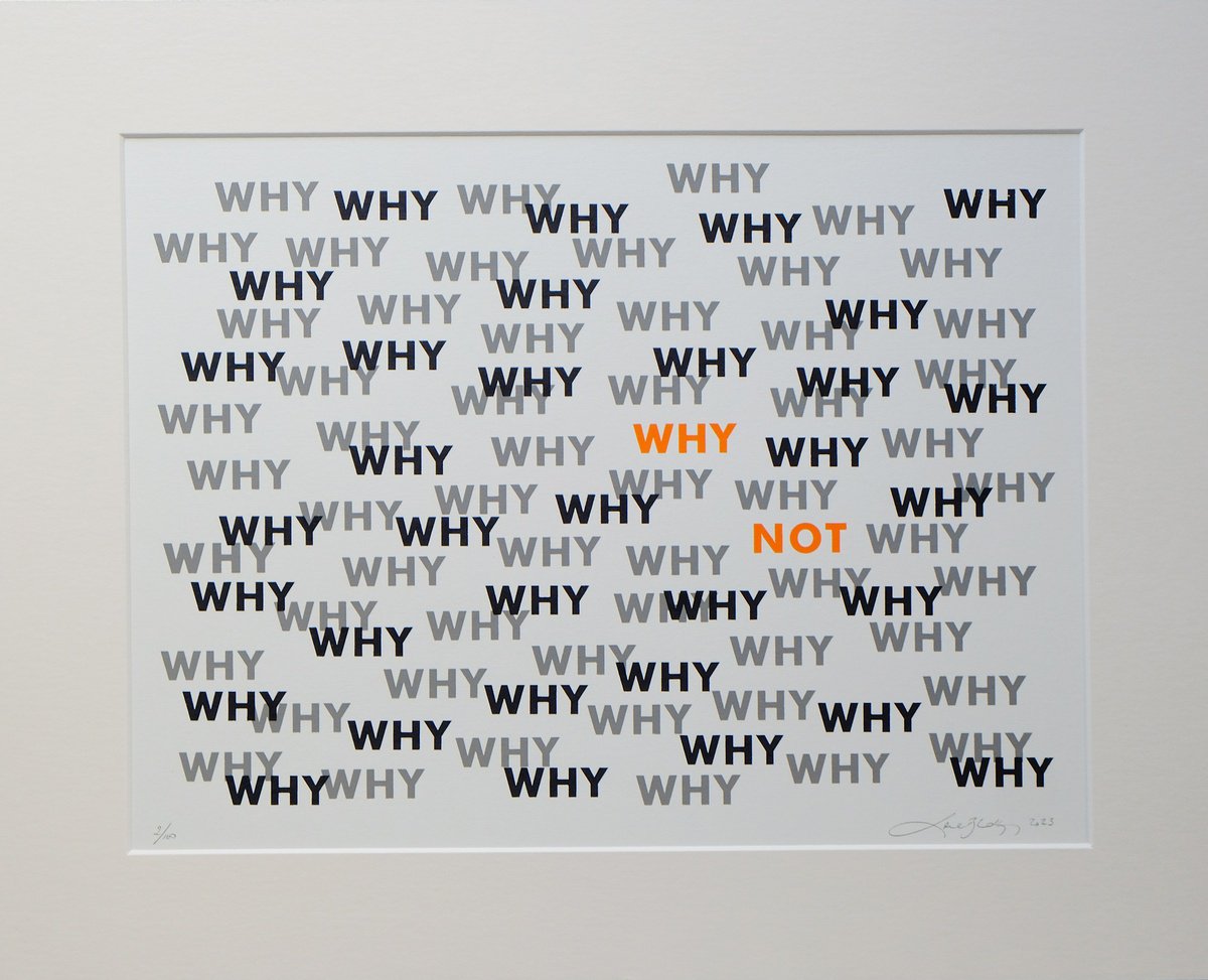 Abstract Screenprint By Lene Bladbjerg, 20 X 16", Why Not, Original Artwork