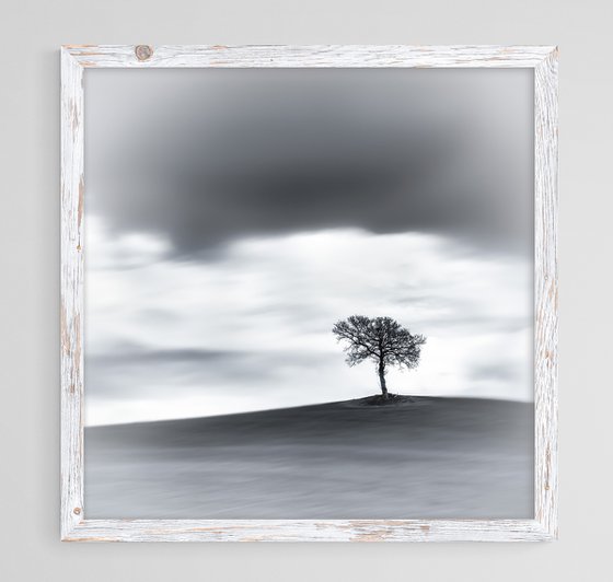 A lone tree on a hill top BW (Studio 2)