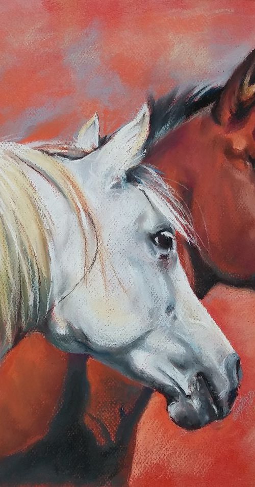 Portrait of horses by Magdalena Palega