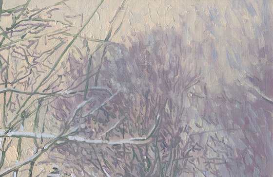 Maple Alley in January