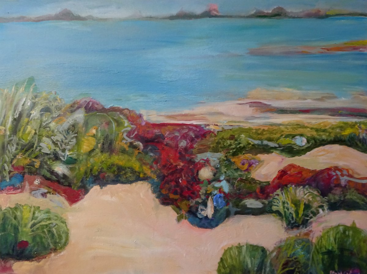 Seascape - Port Broughton by Maureen Finck