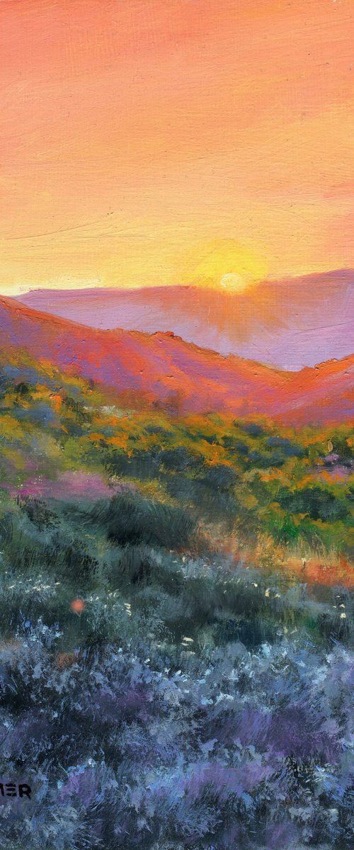'The colors of the desert' by Lucia Verdejo