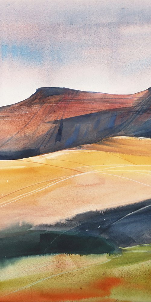 Brecon Beacons National Park by Alla Vlaskina