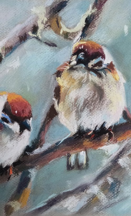 Sparrows by Magdalena Palega