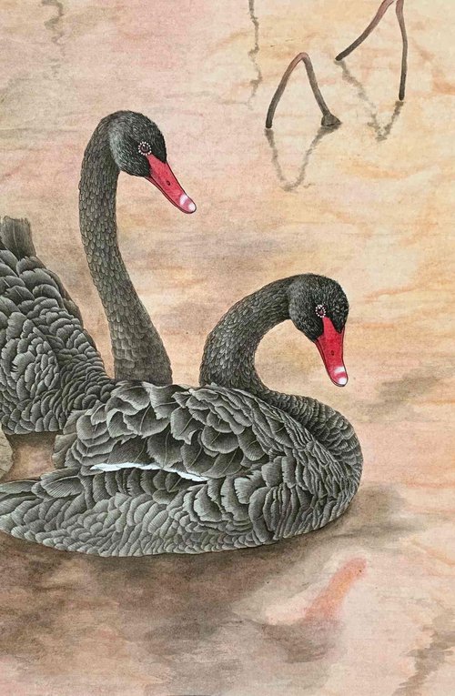 Black Swan, Original Gongbi Brush Painting by Fiona Sheng