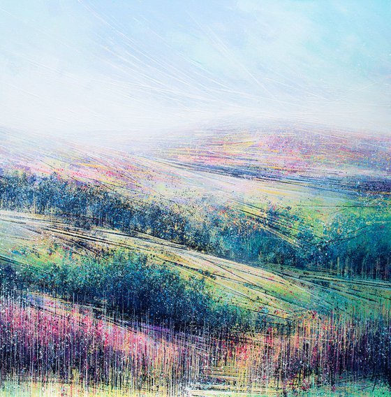 Summer On Exmoor