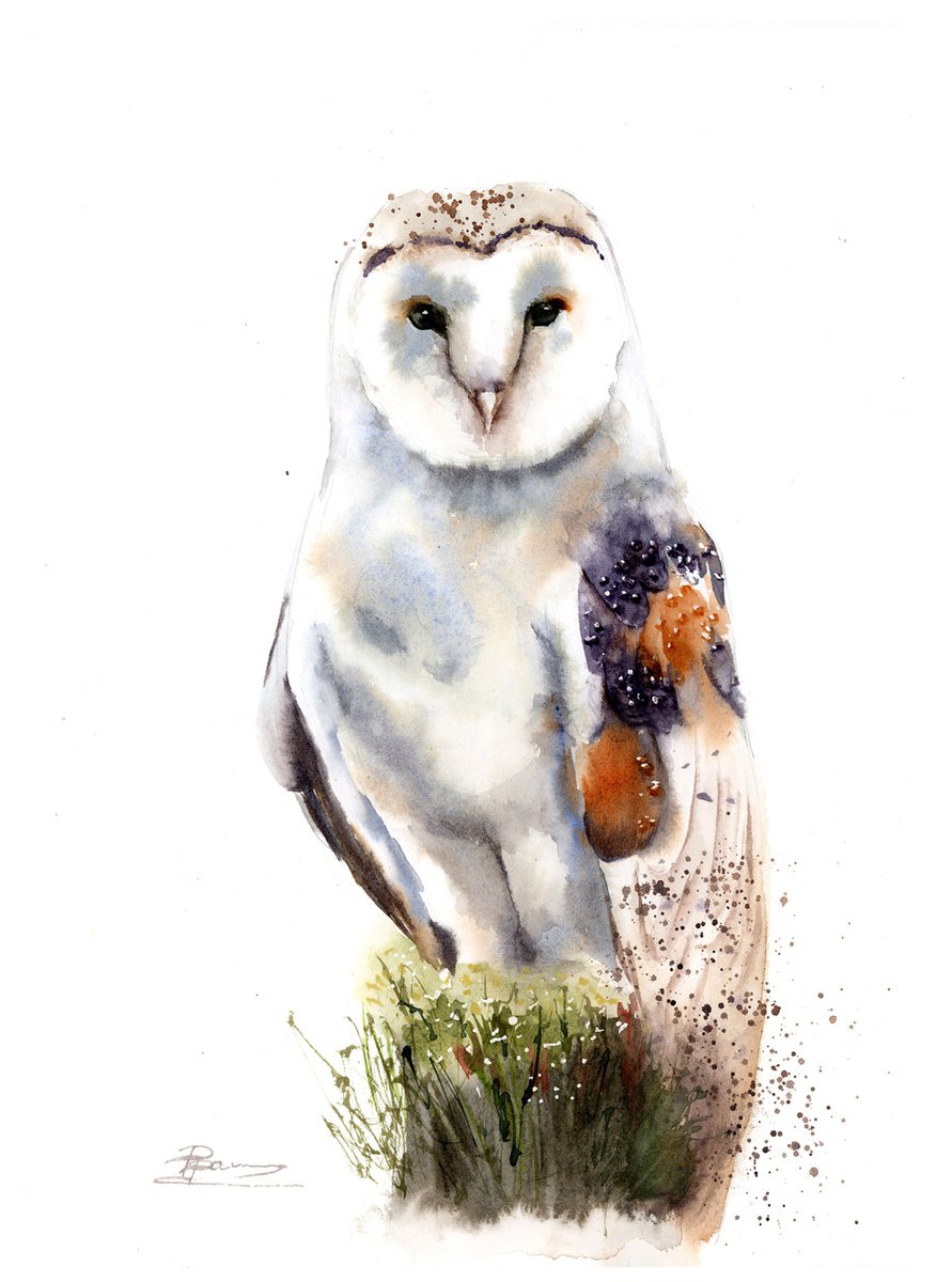 Impressionistic Animal Watercolour By Olga Tchefranov (Shefranov), 11 X 15", Barn Owl, Original Artwork