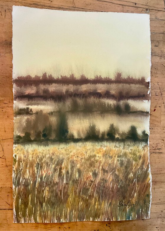 Winter landscape lit