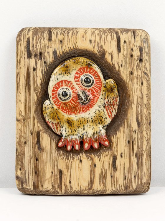 Owl