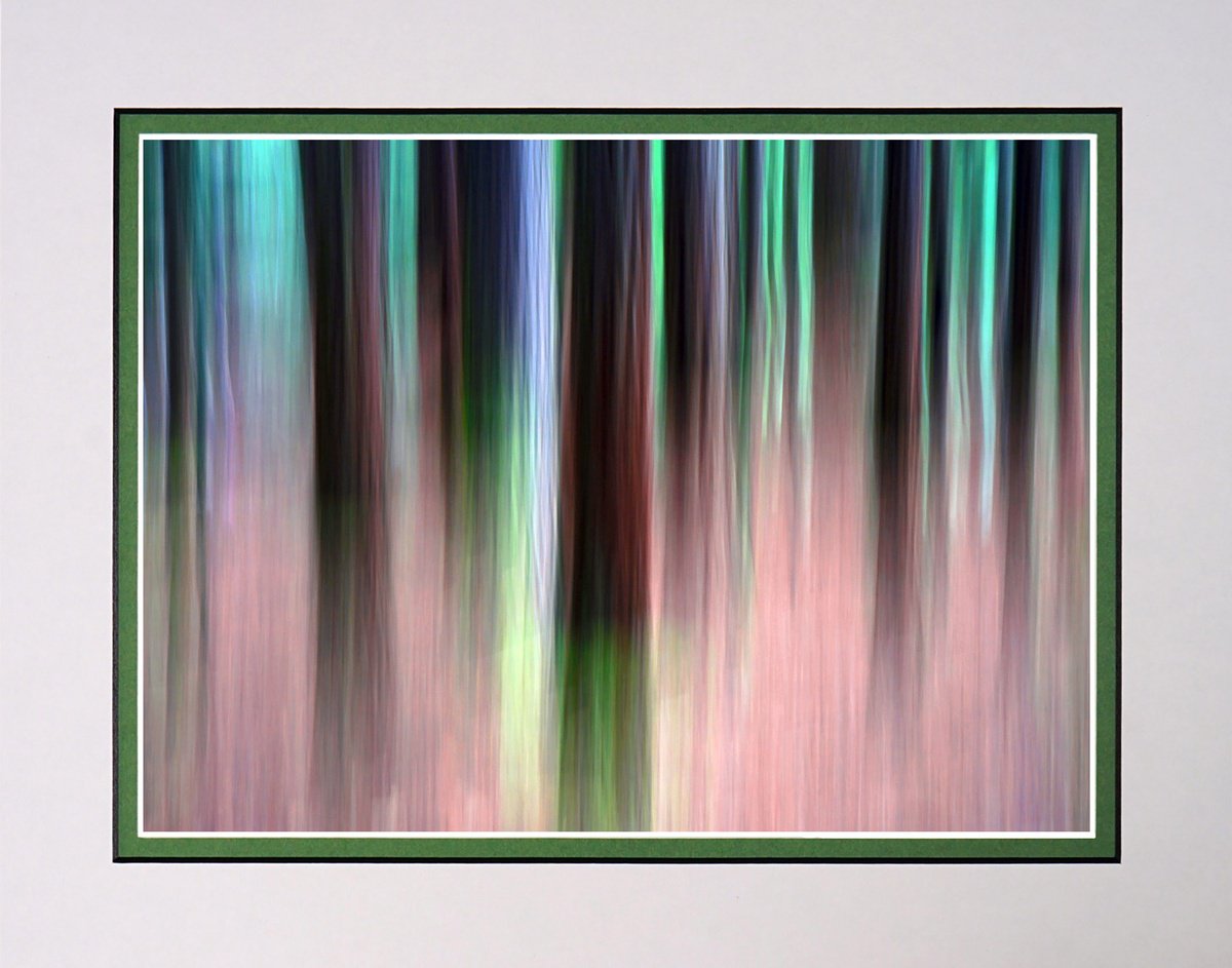 Photorealistic Botanical Photograph By Robin Clarke, 14 X 11", Rainforest New Zealand Icm, Original Artwork