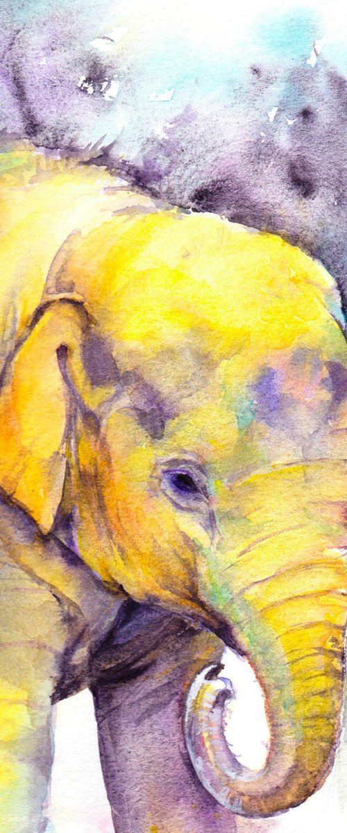 Indian Baby Elephant by Anjana Cawdell