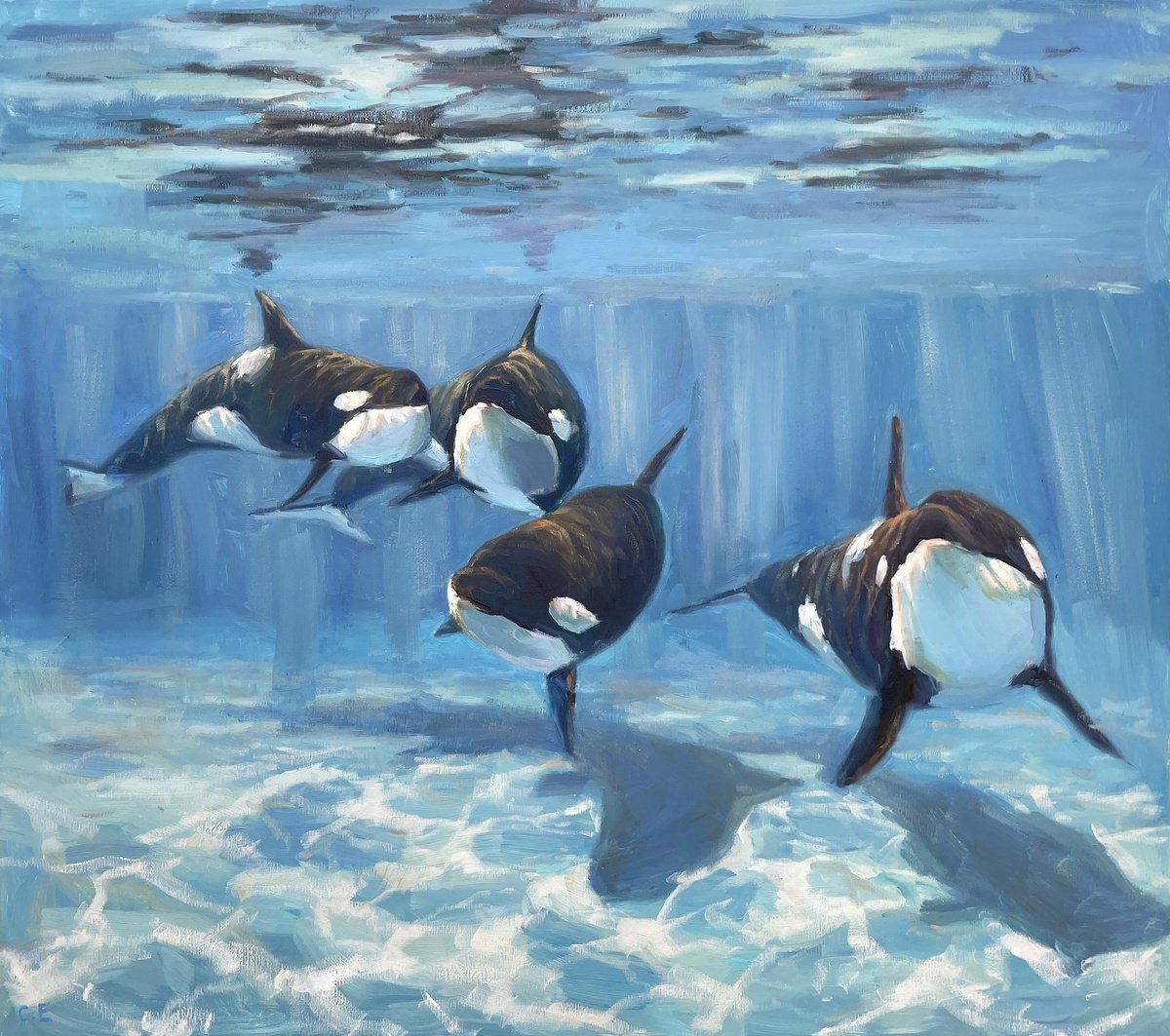 A Pod Of Killer Whale By Evgeny Chernyakovsky, 35 X 31, Artwork For Sale On Artfinder