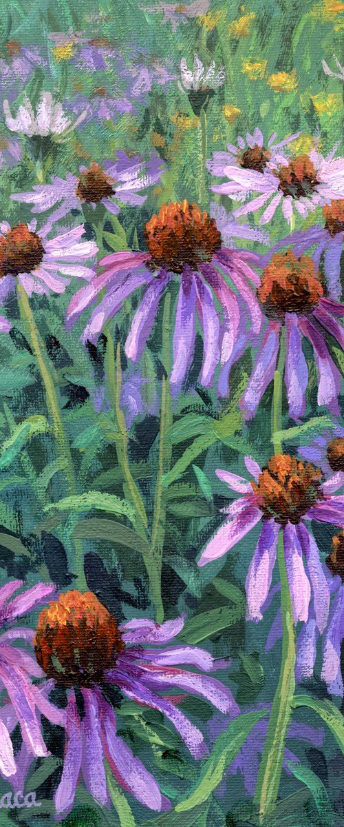 Purple Coneflowers by Steph Moraca