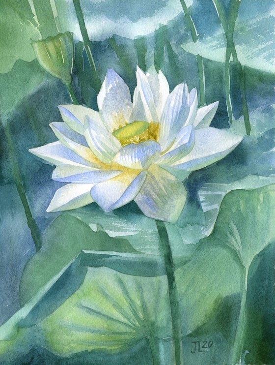 White Lotus Pond