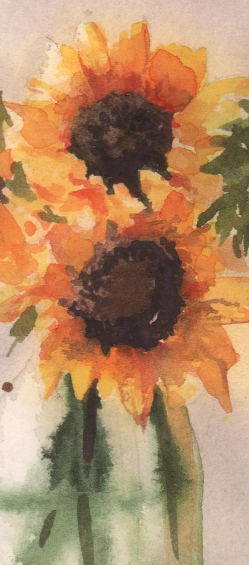 Sunflower Shine by Alison Fennell
