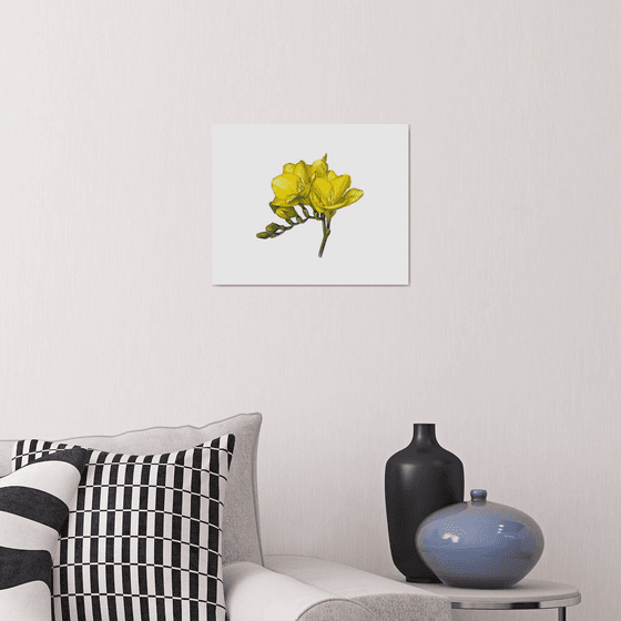 Yellow freesia watercolor flowers