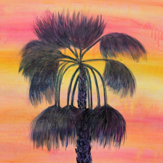 ‘Sunset Solitude’