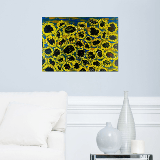 Blooming sunflowers 7