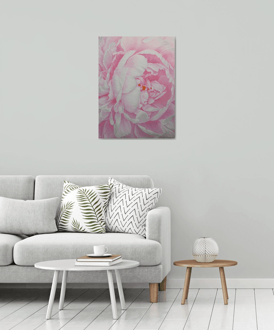 Divine Peony