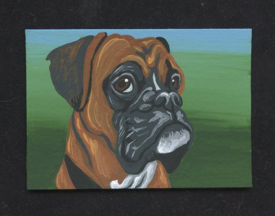 ACEO ATC Original Miniature Painting  Boxer Pet Dog Art-Carla Smale