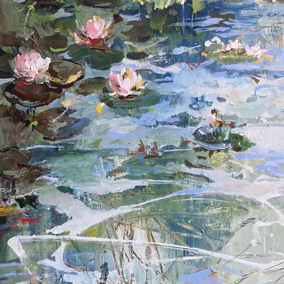 Old lily pond