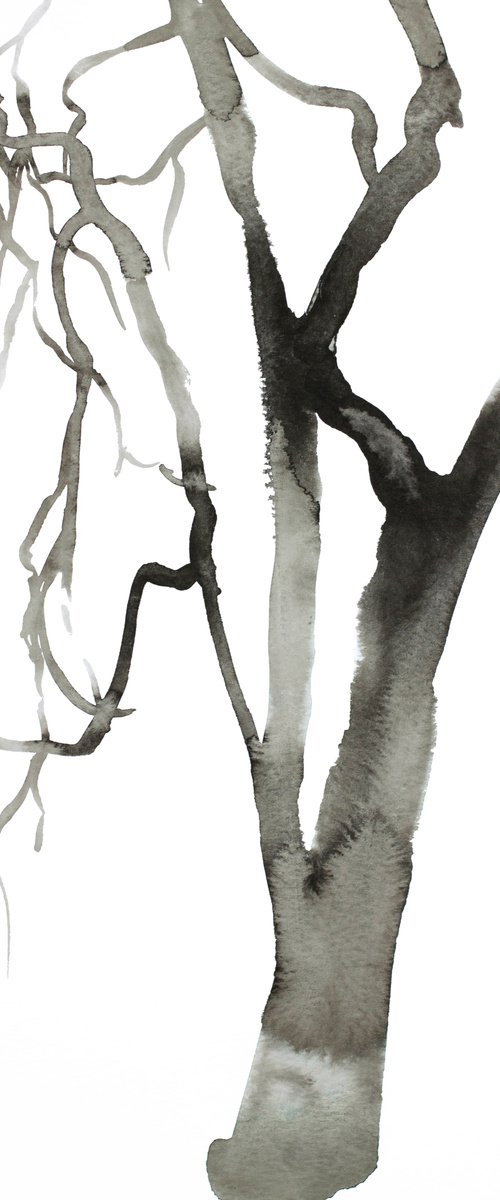 Barren No. 12 by Elizabeth Becker