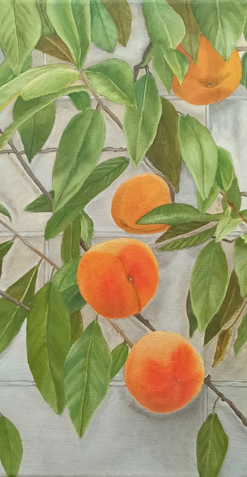 Peaches by Angeles M. Pomata