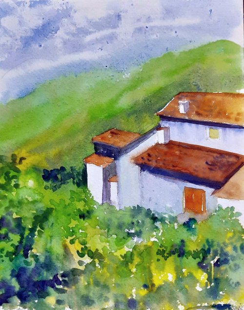 The Tuscan roof tops by Asha Shenoy