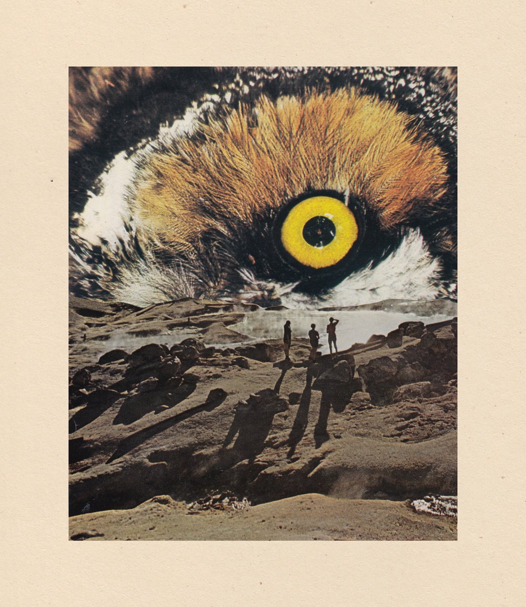 Surrealistic Animal Collage By Jon Garbet, 8 X 9, The Eye Of The Beholder, Original Artwork