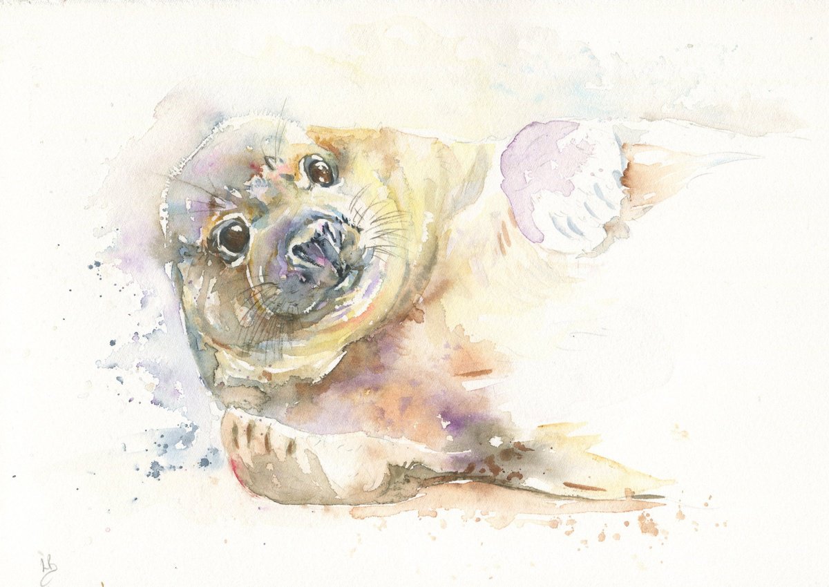 Hi Mom! (Seal Pup) by Lauren Bissell