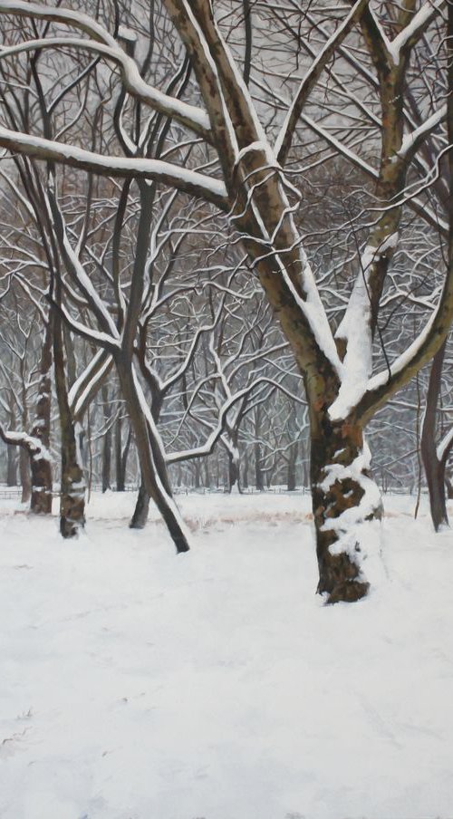 Central Park 5 by Sergej Sologub