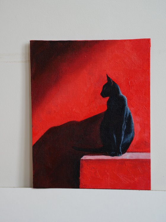 Black Cat on Red