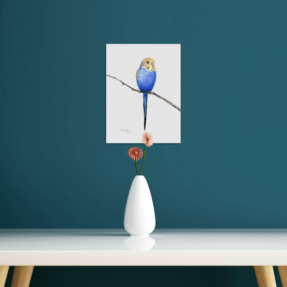 Budgie, blue Parakeet painting
