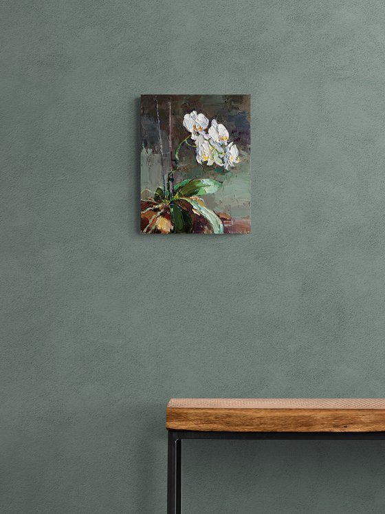 Blooming Orchid