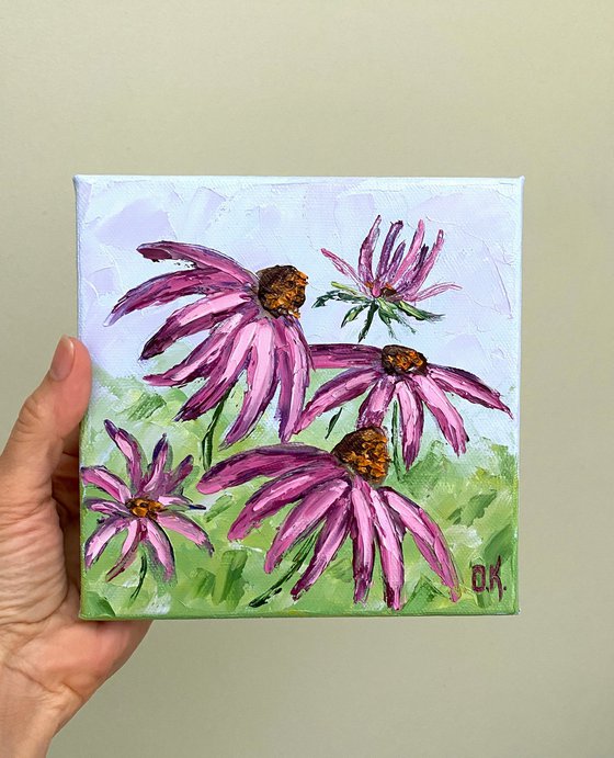 Lovely coneflowers