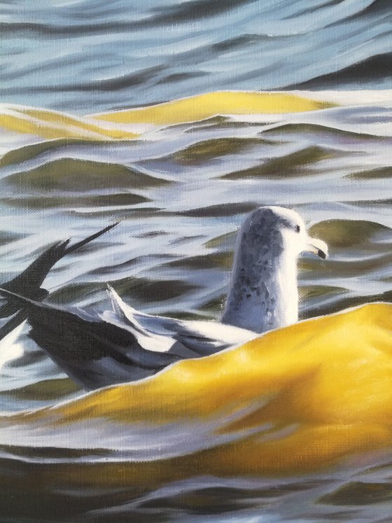 3 waves, 2 birds, 1 love