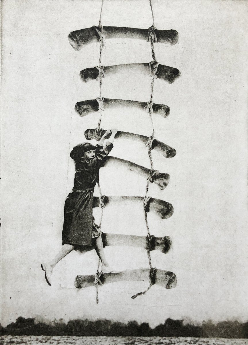 Surrealistic Portrait Etchings & Engravings By Jaco Putker, 8 X 11, The Girl And The Ladder, Original Artwork