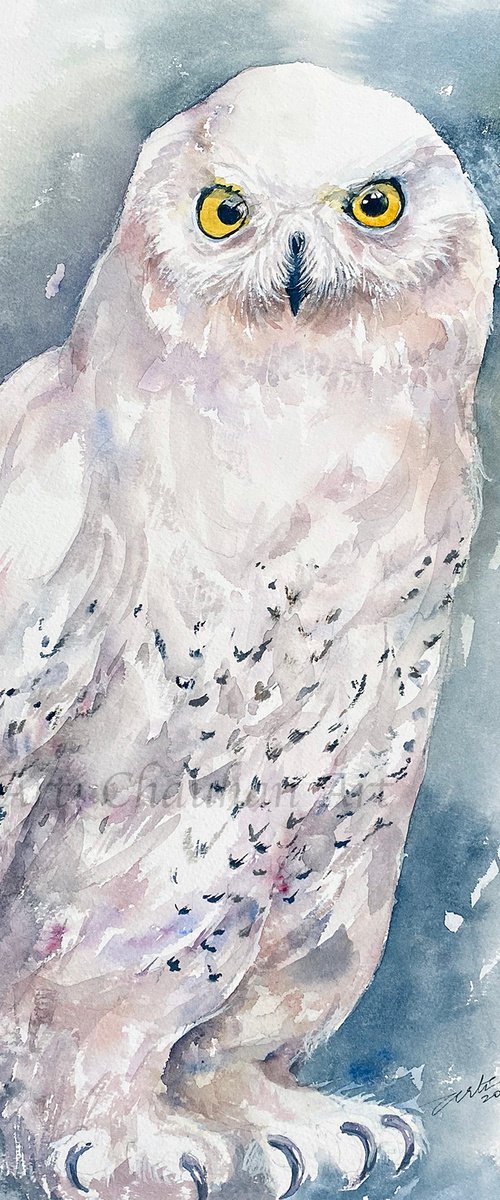 Snowy Owl Vida by Arti Chauhan