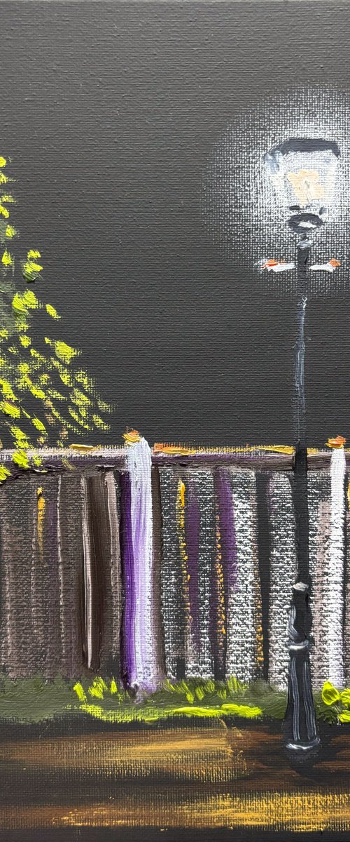 Street lights in the Dark by Dmitry Fedorov