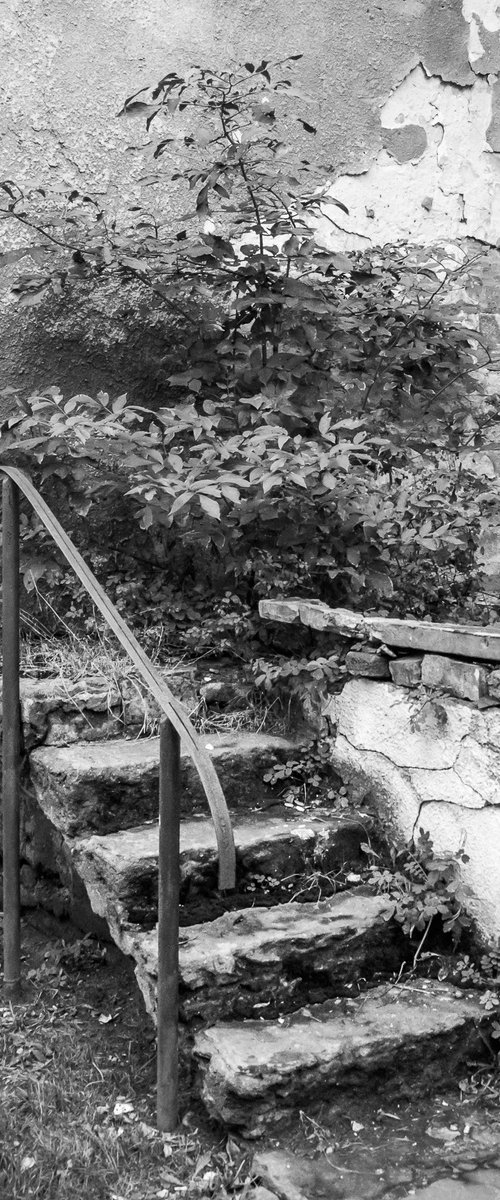 Go Up (from "Living in Poland" set) by Adam Mazek