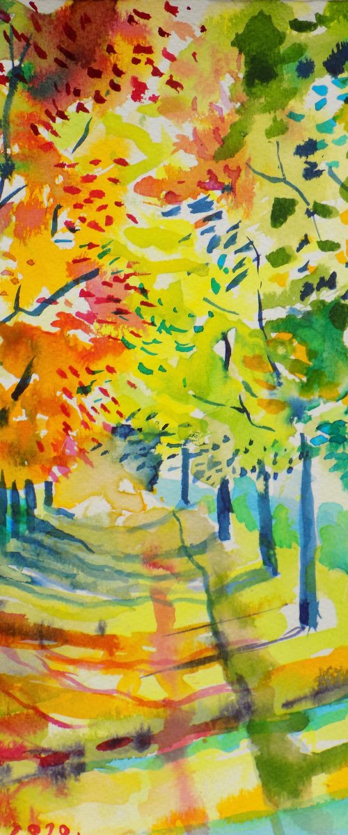 Colourful path by Maja Grecic