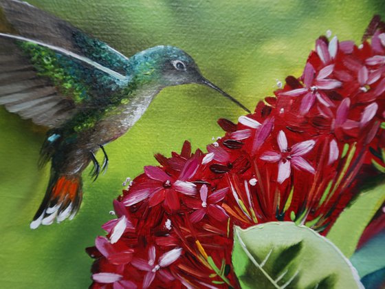 Hummingbird and Red Blossoms