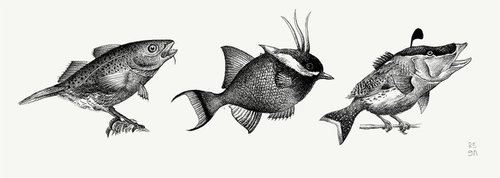 Birdfish species by Mariana Renteria Garnica