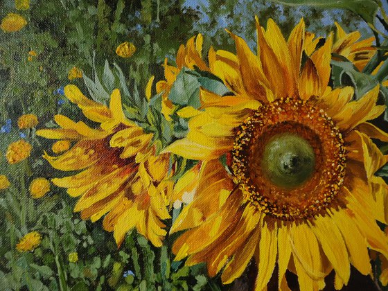Sunflowers and Apples
