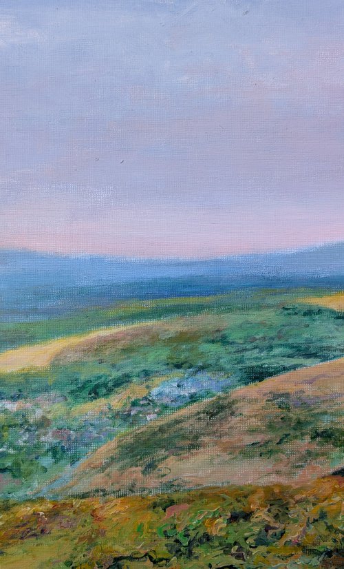 View of the valley by Richard Freer