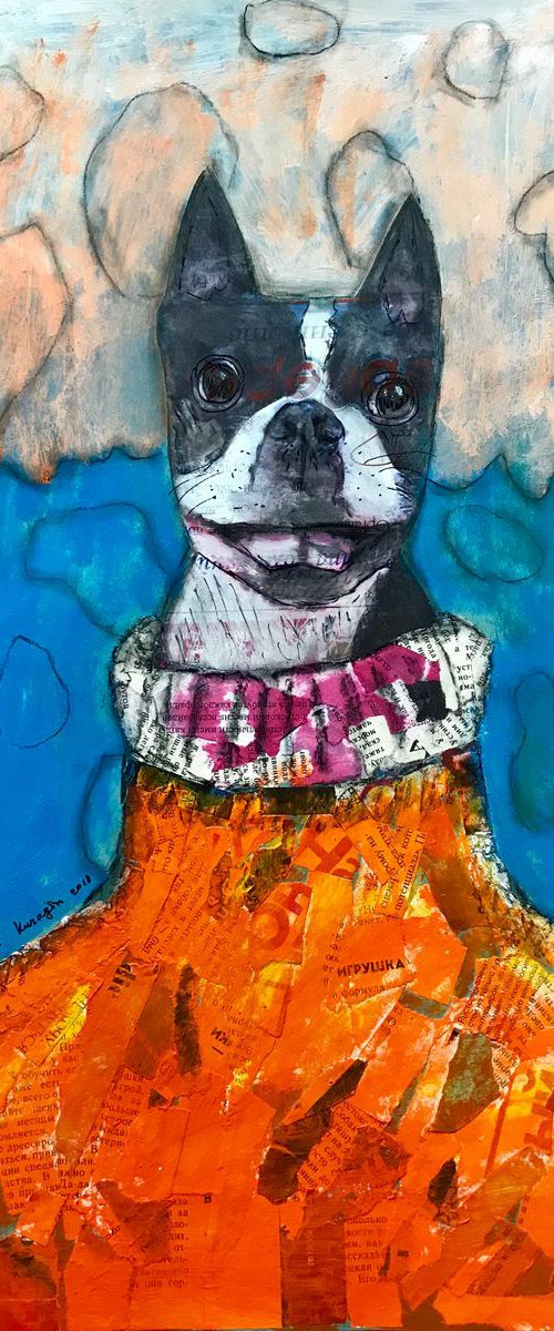Boston terrier by Pavel Kuragin